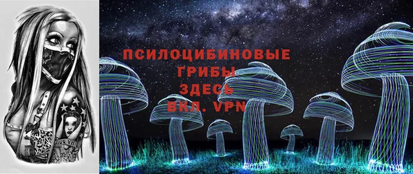 PSILOCYBIN Михайловск