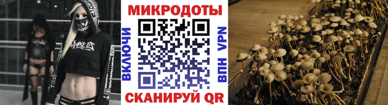 Псилоцибиновые грибы Cubensis Фокино